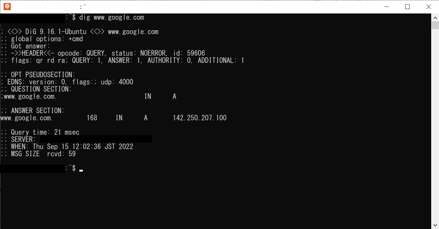 windows dns レコード ショップ 確認